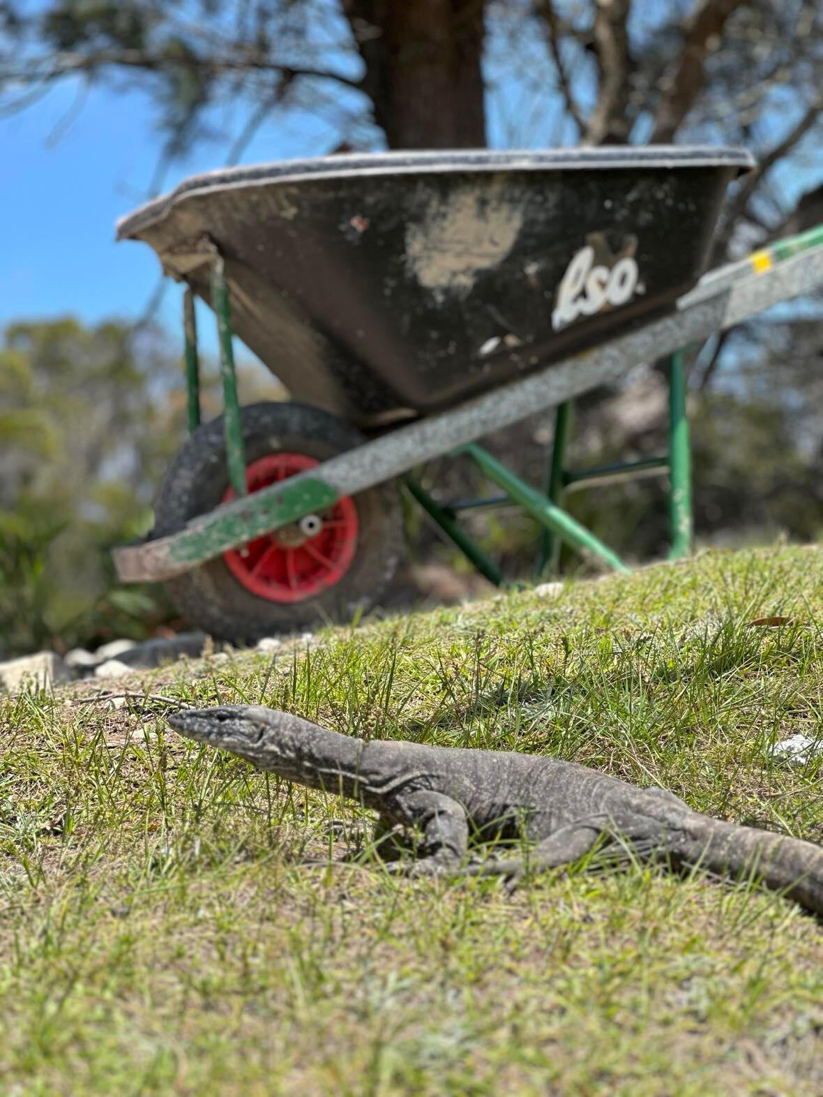 Interested observer Interested observer