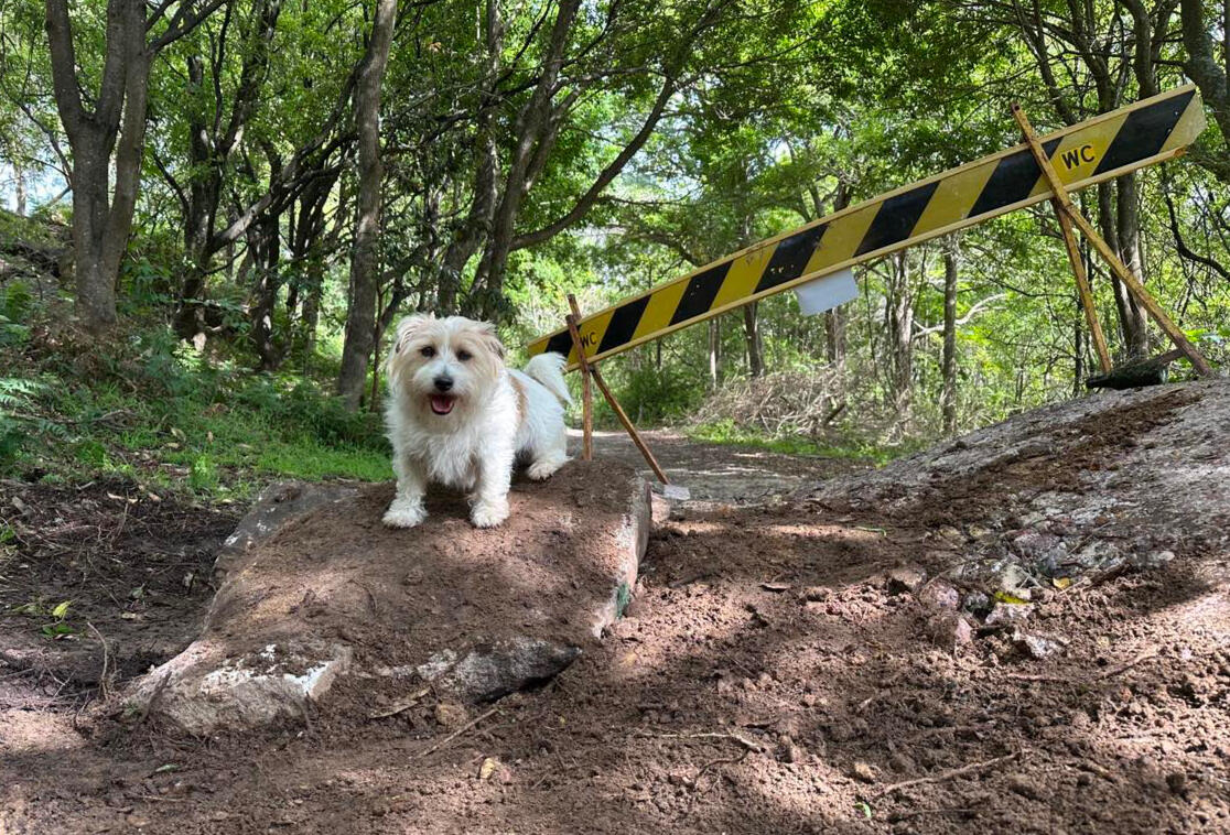 Ready to send Ready to send